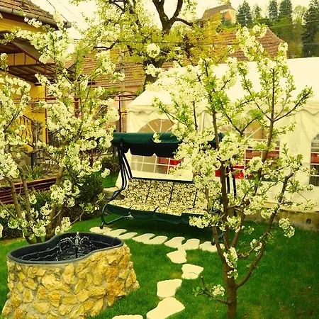 בית הארחה Venesis House סיגישוארה